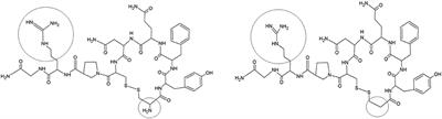 Population Pharmacokinetic Modeling of a Desmopressin Oral Lyophilisate in Growing Piglets as a Model for the Pediatric Population